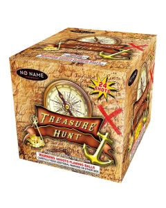 nn5019-treasure-hunt